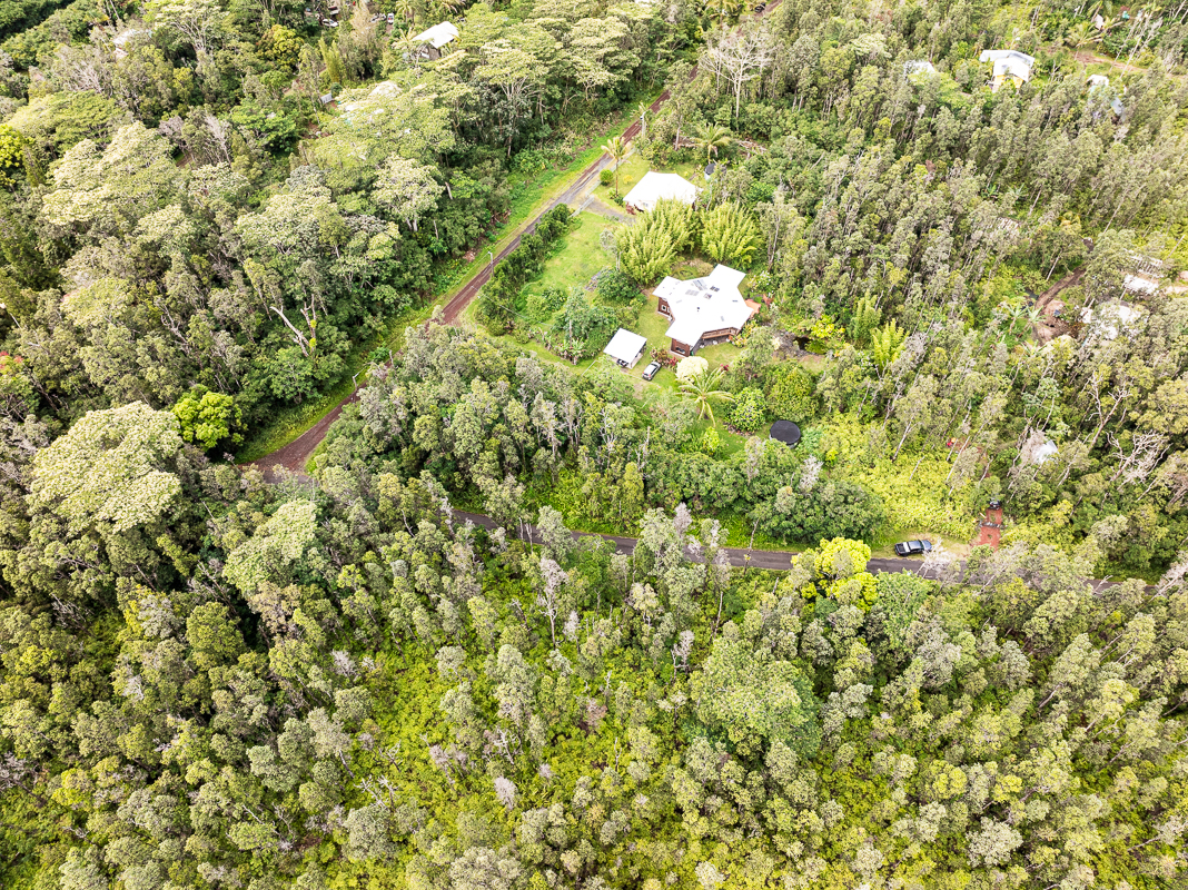 186 Cook Street Pahoa, HI 96778 - Photo 2 of 5 a view of a tree in a yard