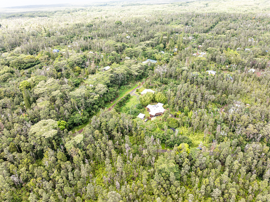 186 Cook Street Pahoa, HI 96778 - Photo 3 of 5 a view of a forest with a houses