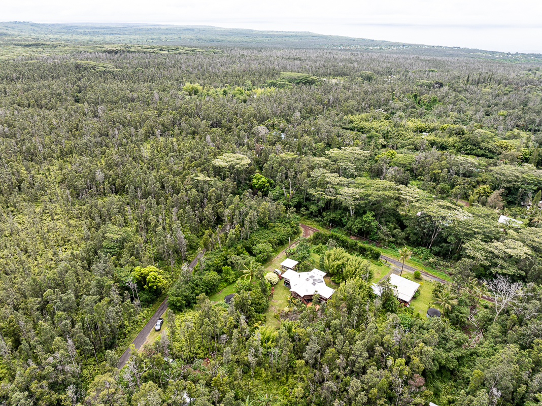 186 Cook Street Pahoa, HI 96778 - Photo 5 of 5 a view of a lush green forest with trees and houses