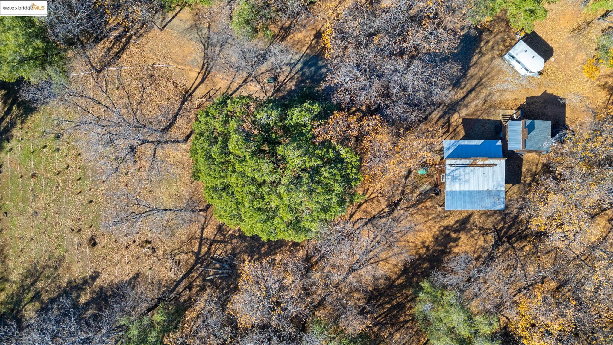 16144 Big Hill Road Sonora, CA 95370 - Photo 51 of 59