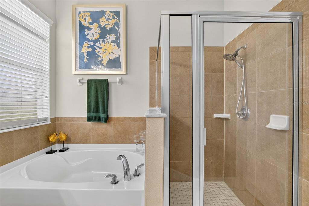 306 Hope Bay Loop Apollo Beach, FL 33572 - Photo 23 of 53 a bathroom with a tub and shower