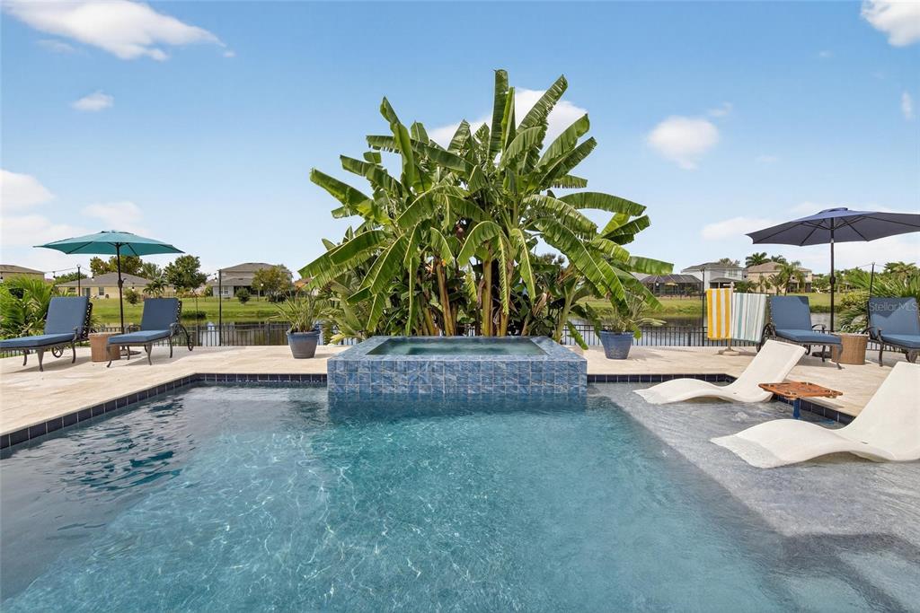 306 Hope Bay Loop Apollo Beach, FL 33572 - Photo 38 of 53 a view of a patio with plants and table and chairs under an umbrella