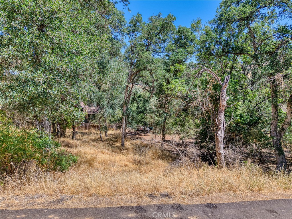 13020 Ridge Street Clearlake, CA 95422 - Photo 11 of 18 a view of a dry yard with trees