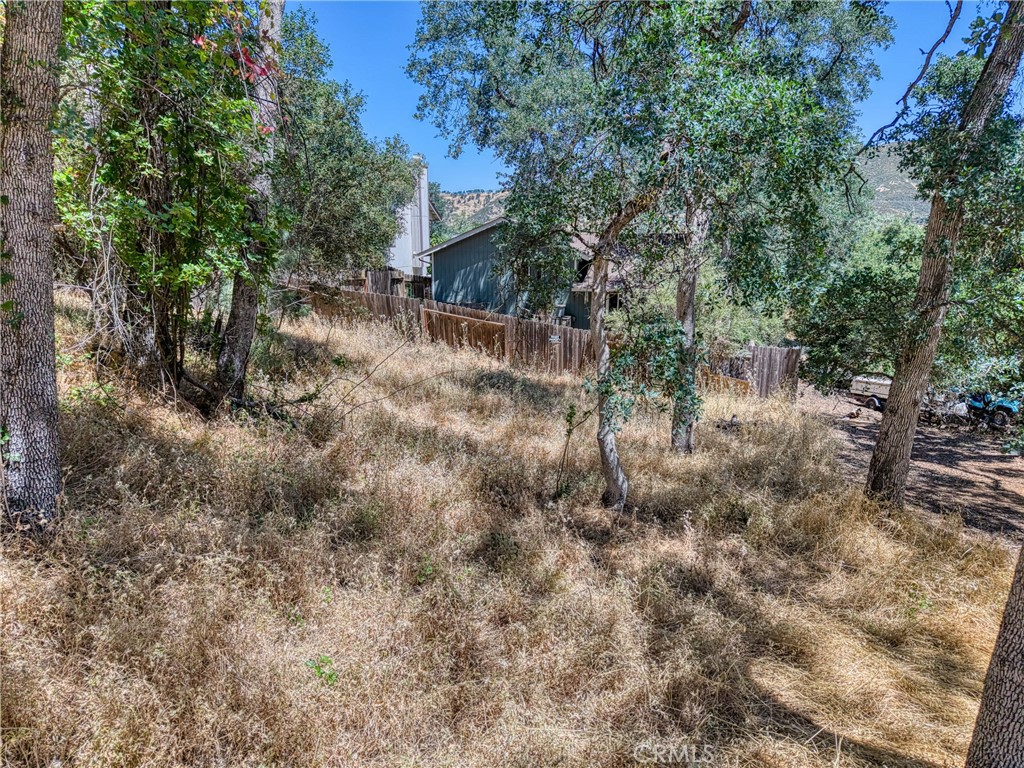 13020 Ridge Street Clearlake, CA 95422 - Photo 12 of 18 a view of a forest with trees in the background