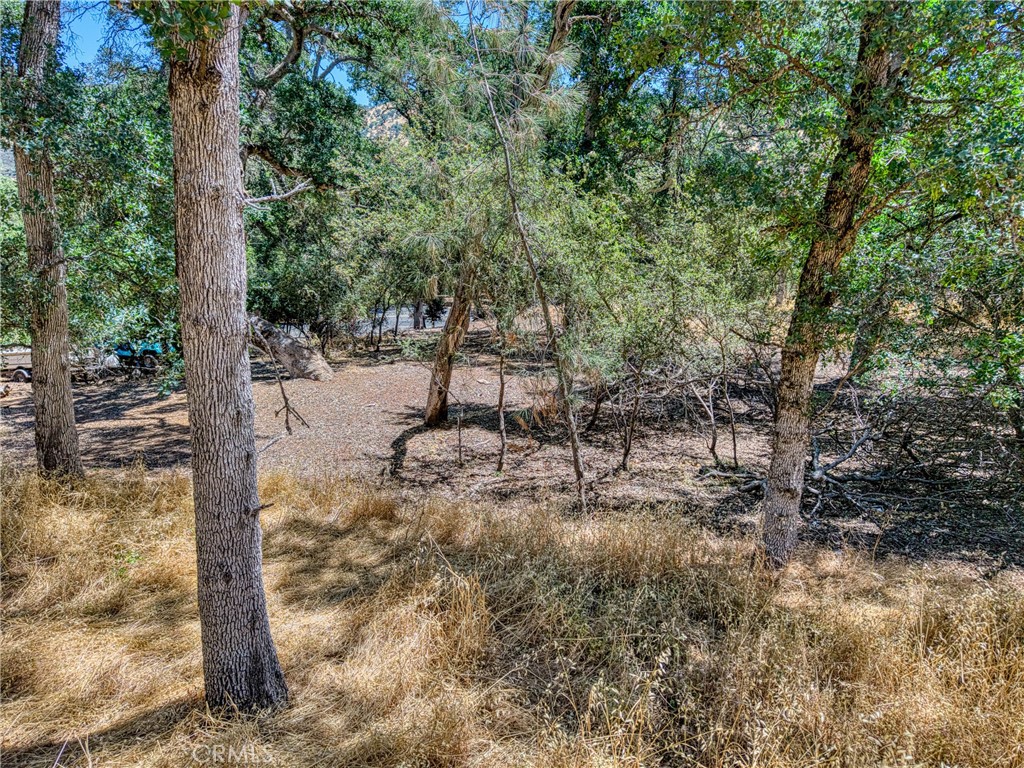 13020 Ridge Street Clearlake, CA 95422 - Photo 13 of 18 a view of a forest with trees