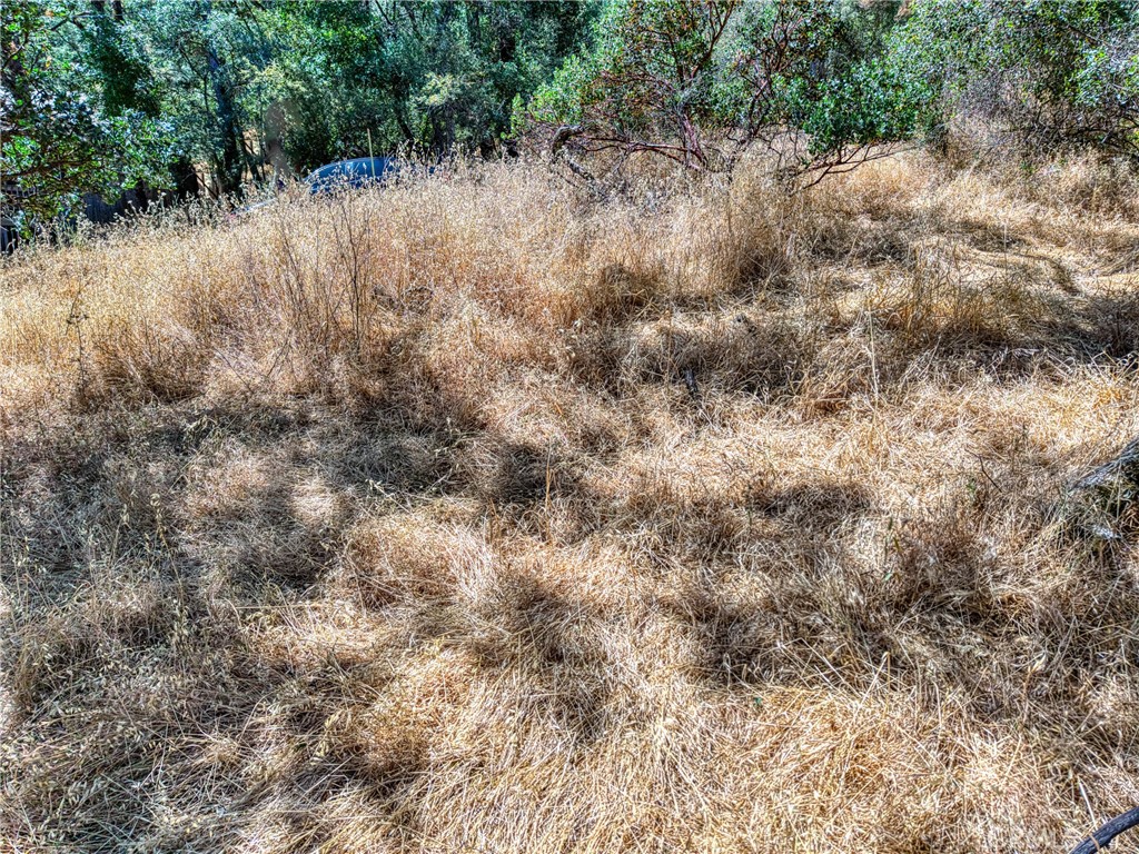 13020 Ridge Street Clearlake, CA 95422 - Photo 17 of 18 a view of a forest