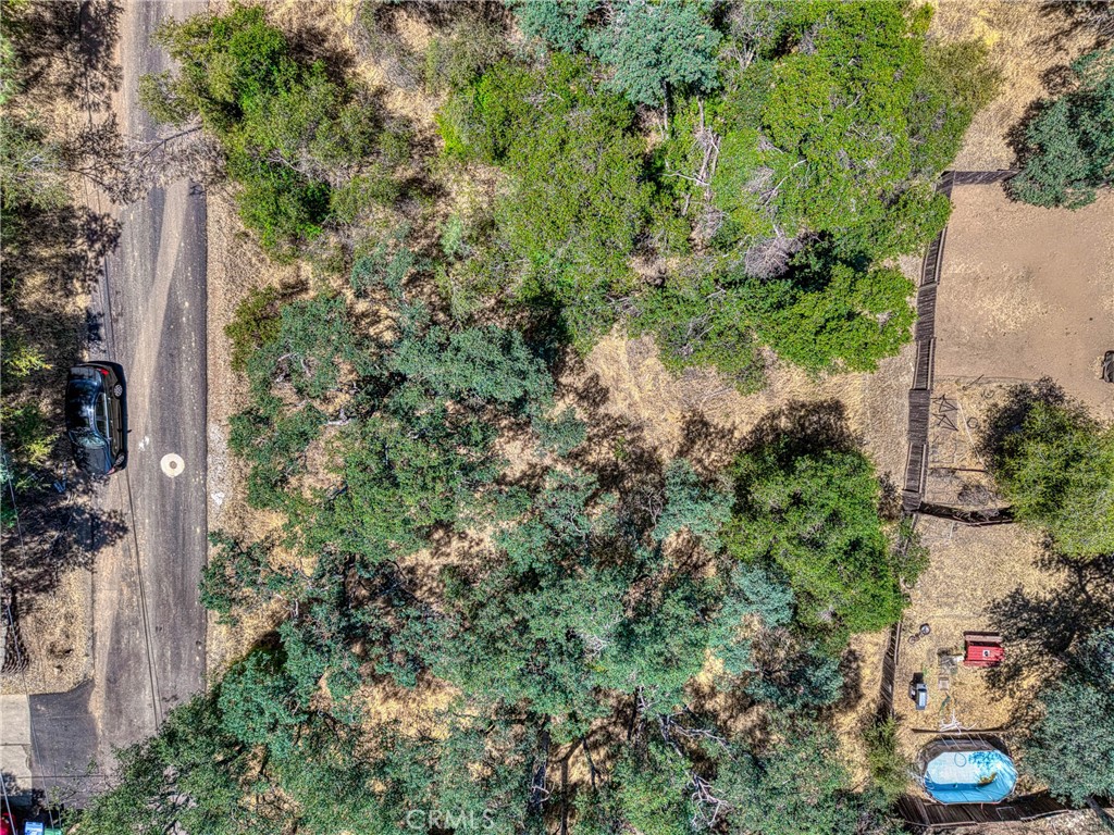 13020 Ridge Street Clearlake, CA 95422 - Photo 18 of 18 a view of a garden with a tree