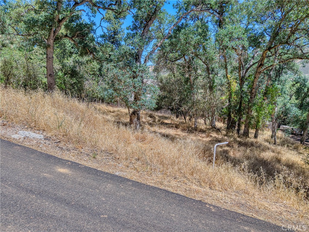 13020 Ridge Street Clearlake, CA 95422 - Photo 3 of 18 a view of a dry yard with trees