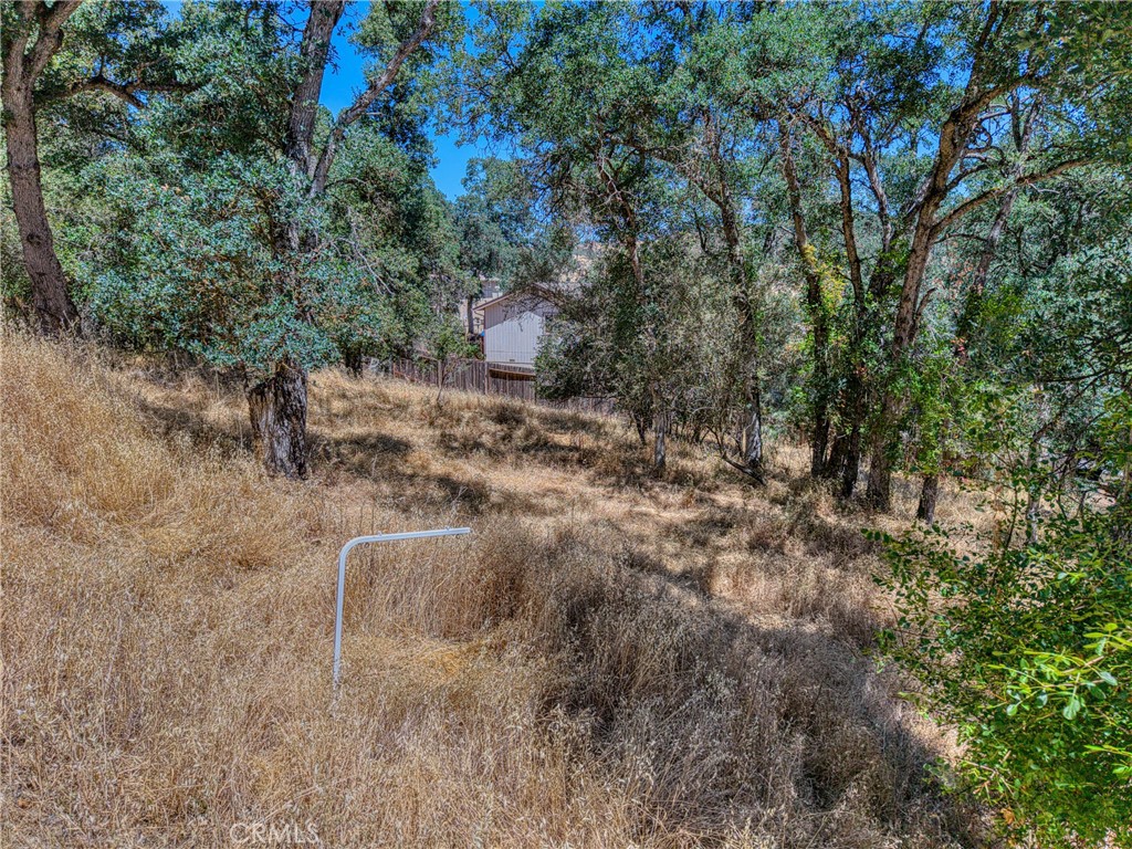 13020 Ridge Street Clearlake, CA 95422 - Photo 4 of 18 a view of a dry yard with trees