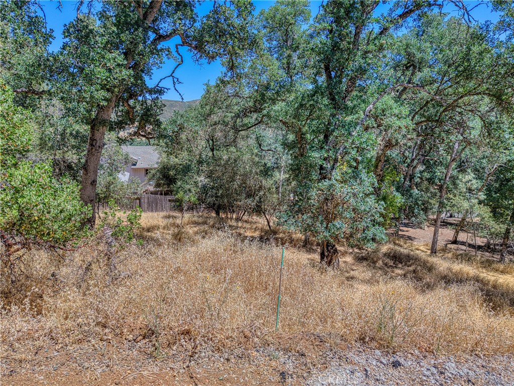13020 Ridge Street Clearlake, CA 95422 - Photo 5 of 18 a view of a yard