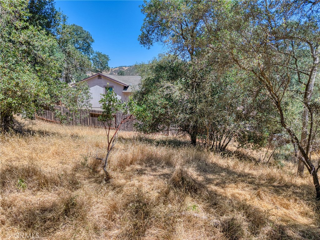 13020 Ridge Street Clearlake, CA 95422 - Photo 7 of 18 a view of a dry yard with trees