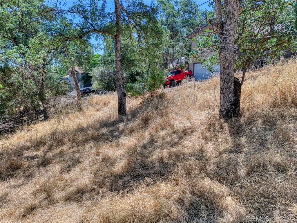 13020 Ridge Street Clearlake, CA 95422 - Photo 9 of 18 a view of a forest with trees