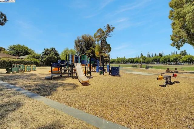 a view of a park with large trees