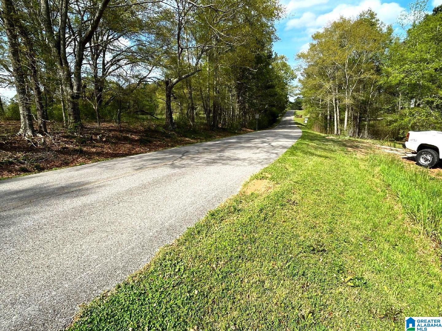 Owens Road, Unit 1 Ashland, AL 36251 - Photo 4 of 5