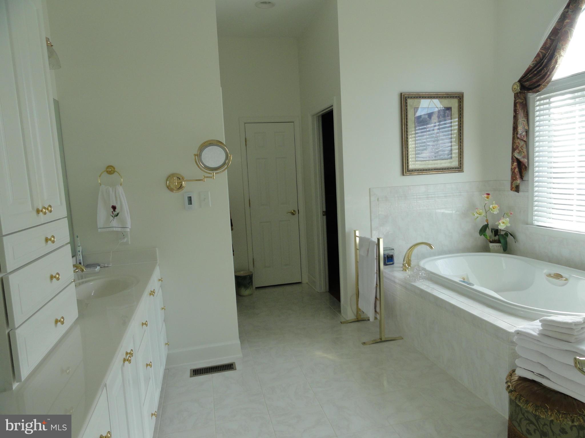 15910 Broadfording Road Hagerstown, MD 21740 - Photo 21 of 30 Bath (Master)