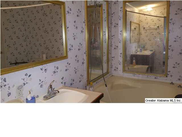 1607 Spring Road Ohatchee, AL 36271 - Photo 8 of 30