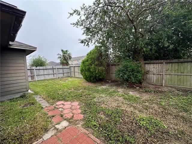 a view of a backyard with plants and large trees