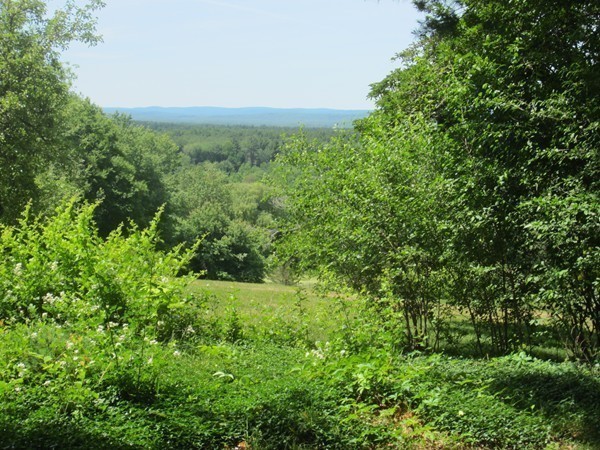 18 Plum Tree Road Amherst, MA 01002 - Photo 4 of 26 Gallery Image 4