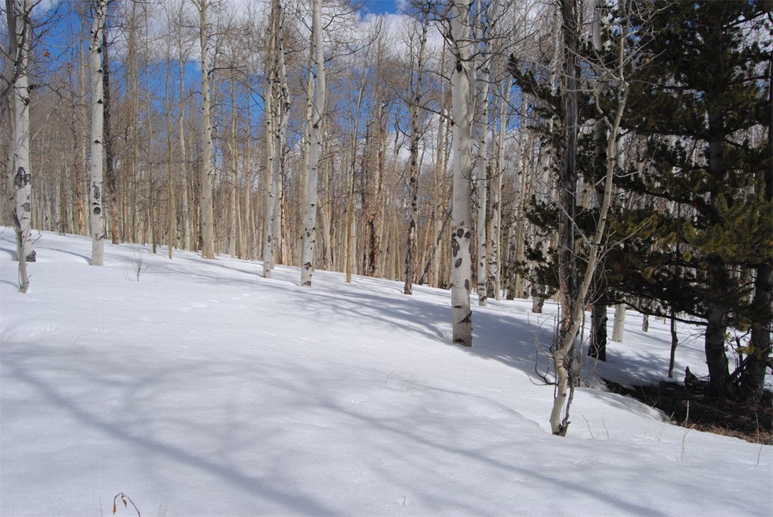 507 Lumberjack Road Fairplay, CO 80440 - Photo 20 of 27 Gallery Image 20