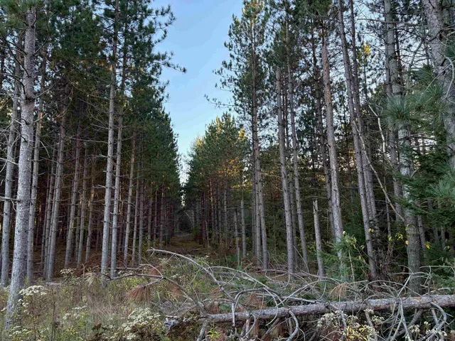 $45,000 | Lot 2 Plantation, Pelican Lake, WI 54463