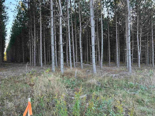$45,000 | Lot 2 Plantation, Pelican Lake, WI 54463