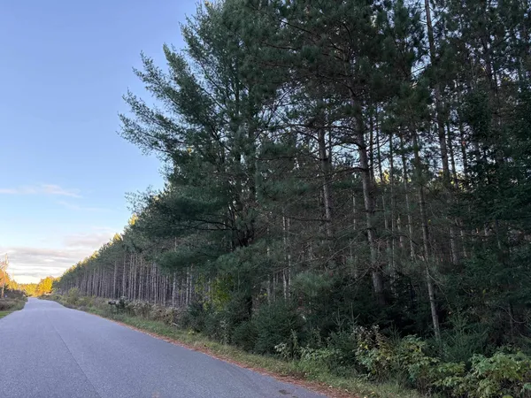 $45,000 | Lot 2 Plantation, Pelican Lake, WI 54463