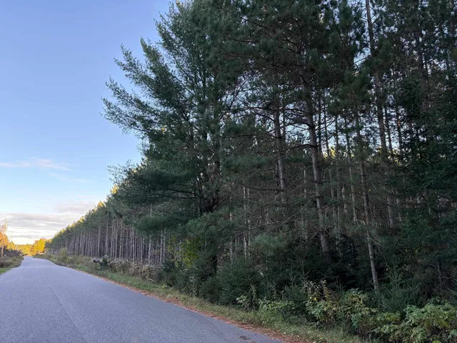 $45,000 | Lot 2 Plantation, Pelican Lake, WI 54463