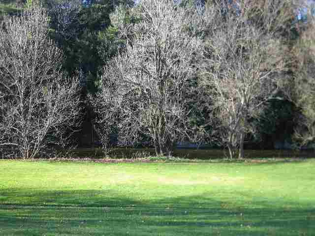 29 Co Rte 64A Shushan, NY 12873 - Photo 5 of 9 Photo 5