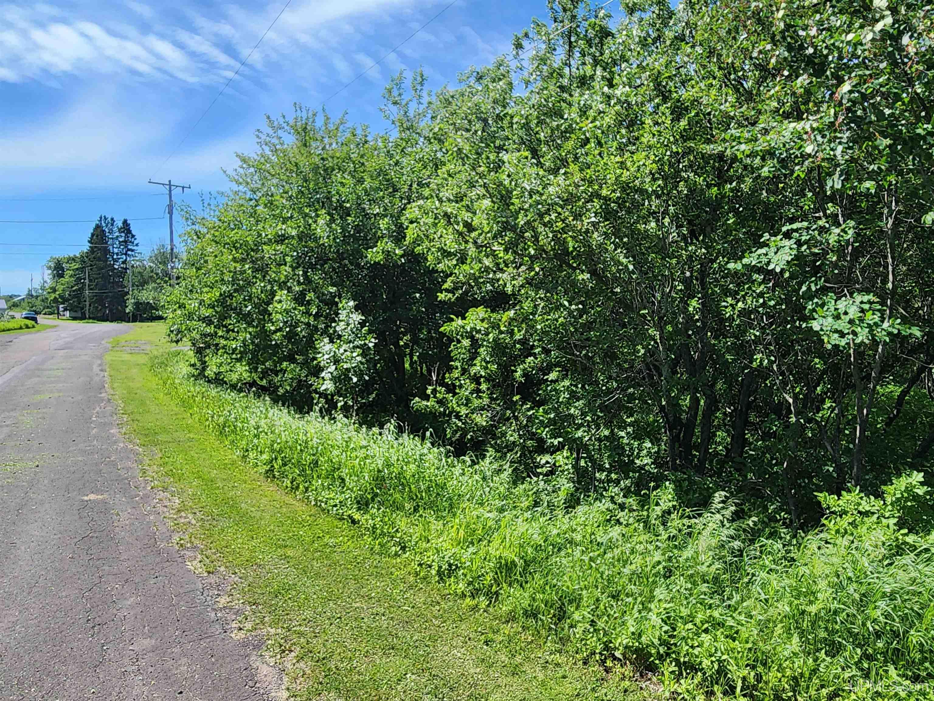 Tbd A Tbd A Road Calumet, MI 49913 - Photo 11 of 12