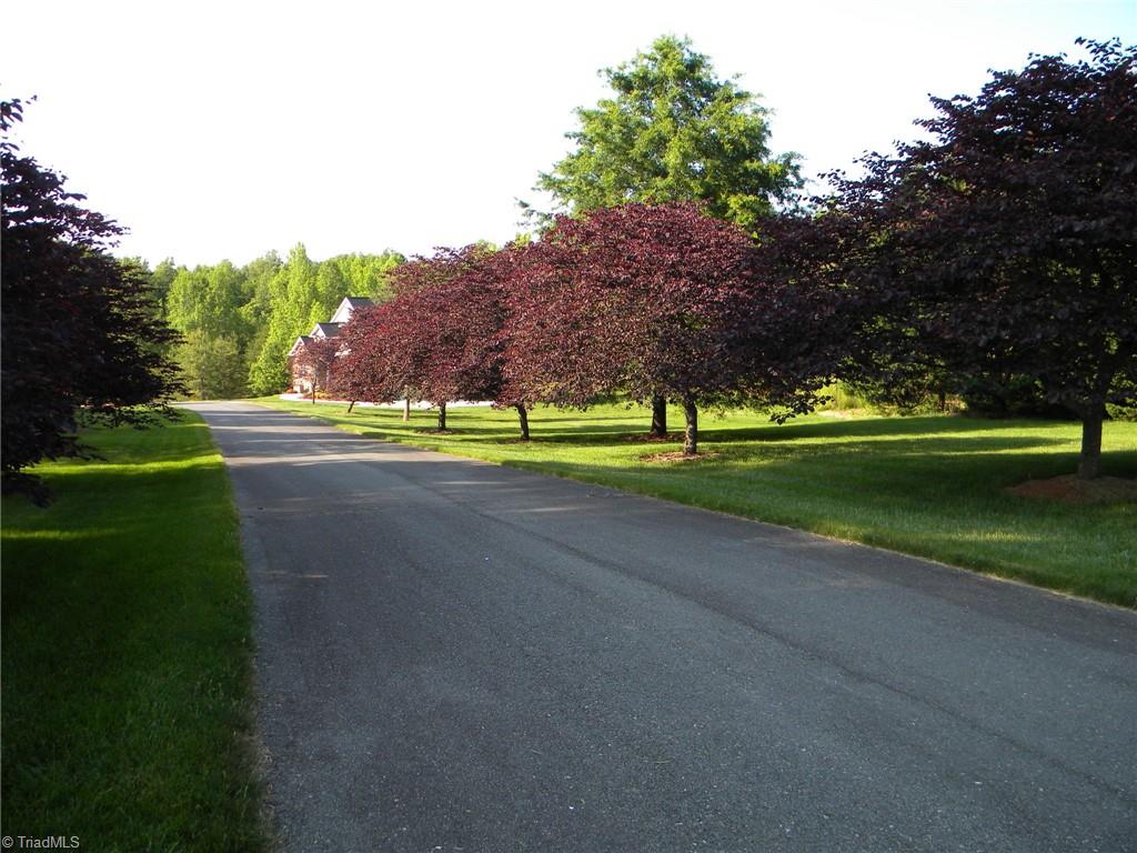9137 County Line Road Kernersville, NC 27284 - Photo 26 of 28 Private drive leading to the fabulous property