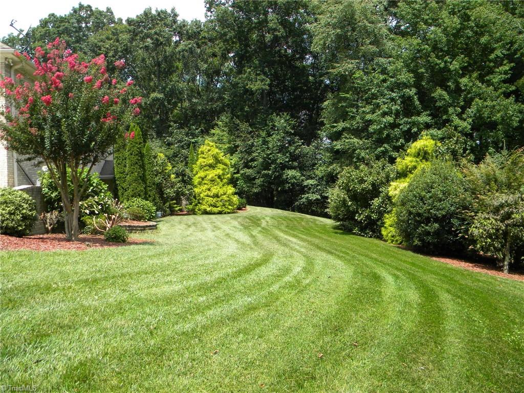 9137 County Line Road Kernersville, NC 27284 - Photo 5 of 28 Beautiful well landscaped yard