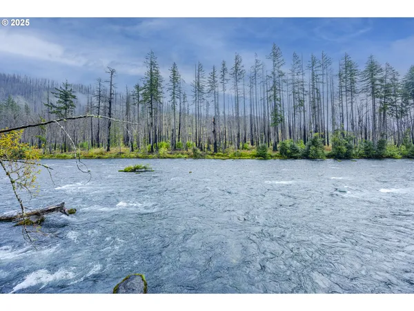 $500,000 | 50010 McKenzie Highway, Unit 2, Vida, OR 97488