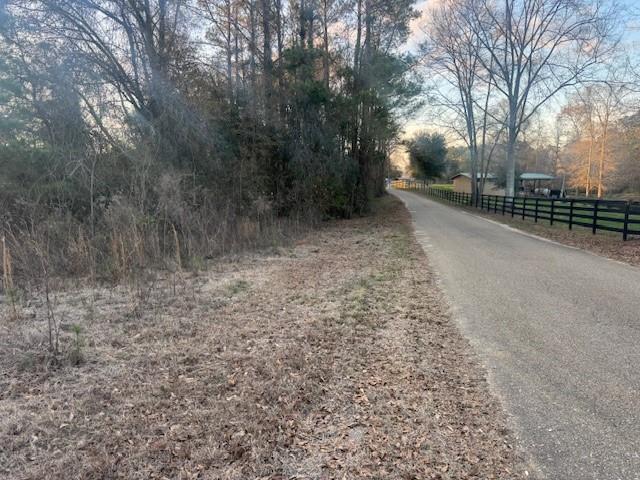 16134 Hezzie Loyd Road Folsom, LA 70437 - Photo 2 of 5