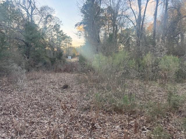 16134 Hezzie Loyd Road Folsom, LA 70437 - Photo 4 of 5