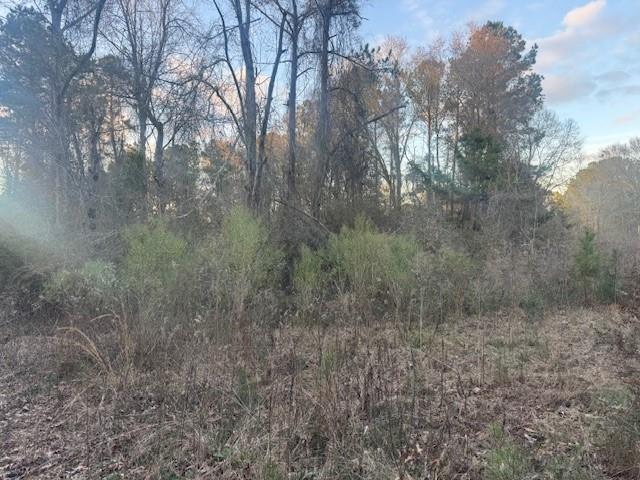 16134 Hezzie Loyd Road Folsom, LA 70437 - Photo 5 of 5