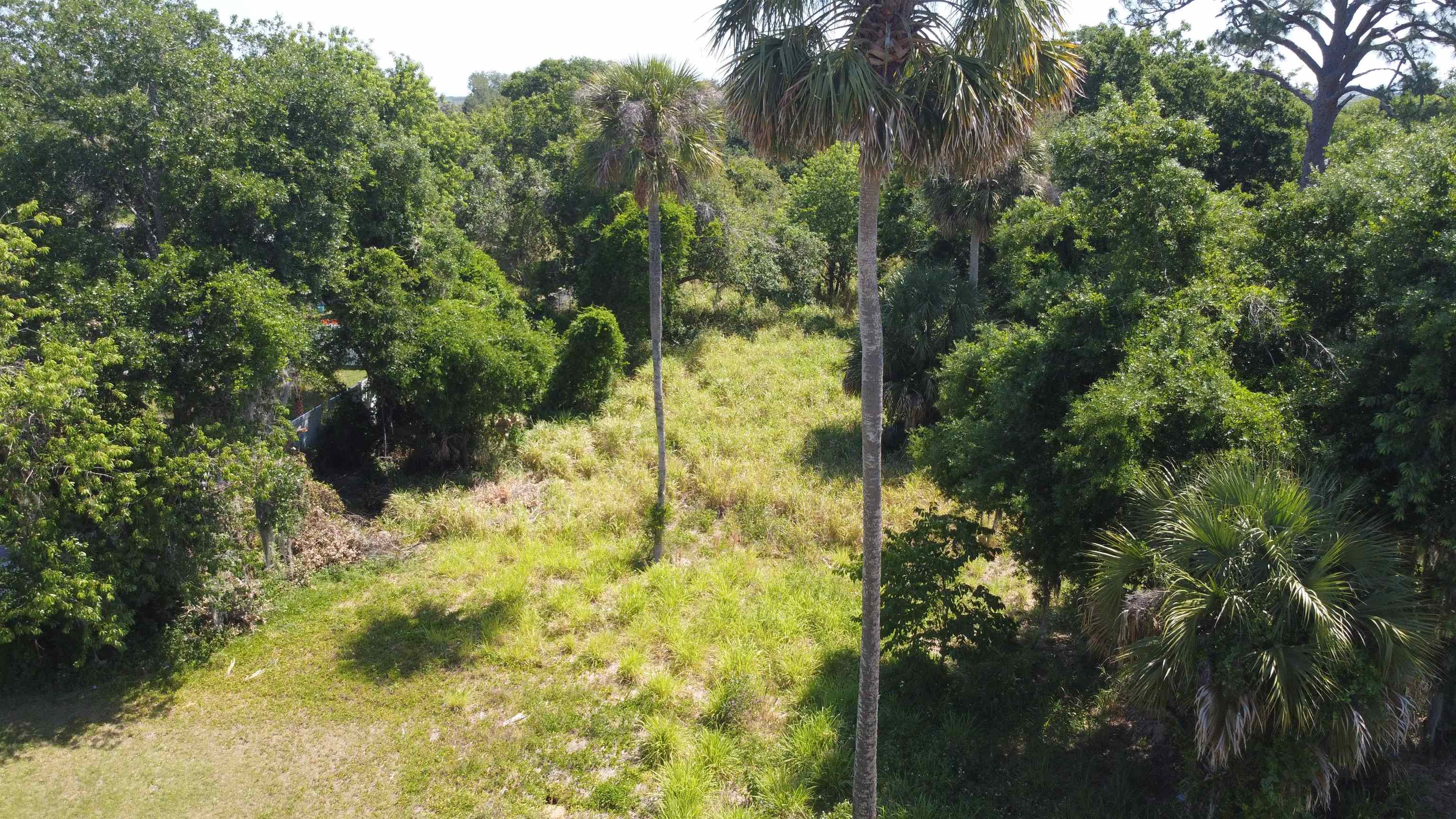 106 Lamont Street Edgewater, FL 32132 - Photo 18 of 21 a view of a yard