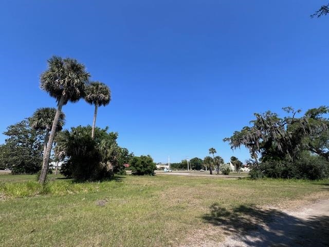 106 Lamont Street Edgewater, FL 32132 - Photo 20 of 21 a view of a field with a tree