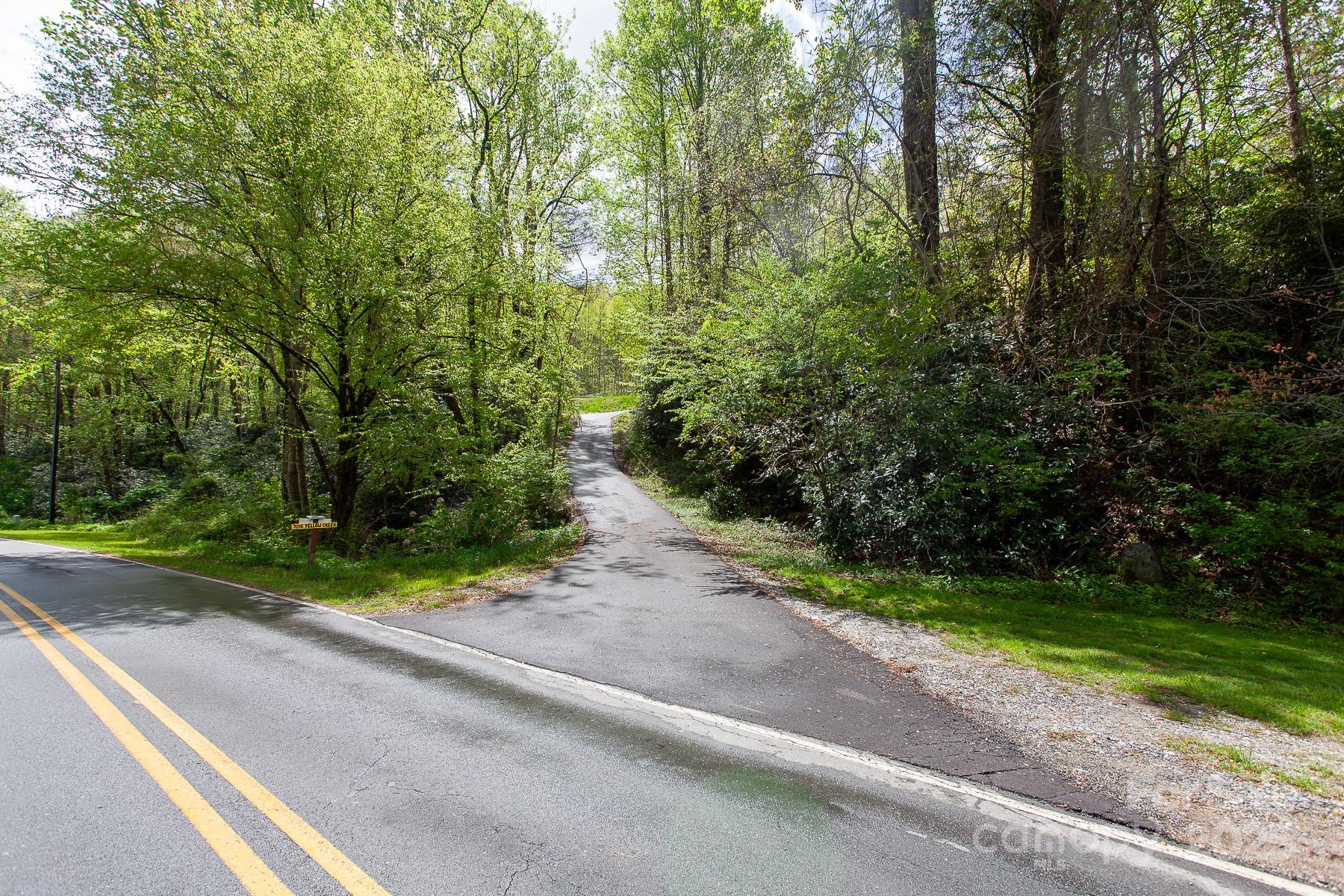 7042 Yellow Creek Road Robbinsville, NC 28771 - Photo 12 of 18 a view of a yard with potted plants and large trees