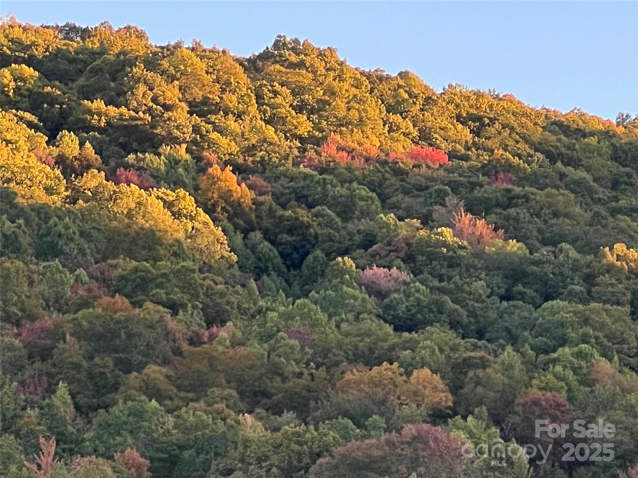 7042 Yellow Creek Road Robbinsville, NC 28771 - Photo 14 of 18 a view of city and mountain