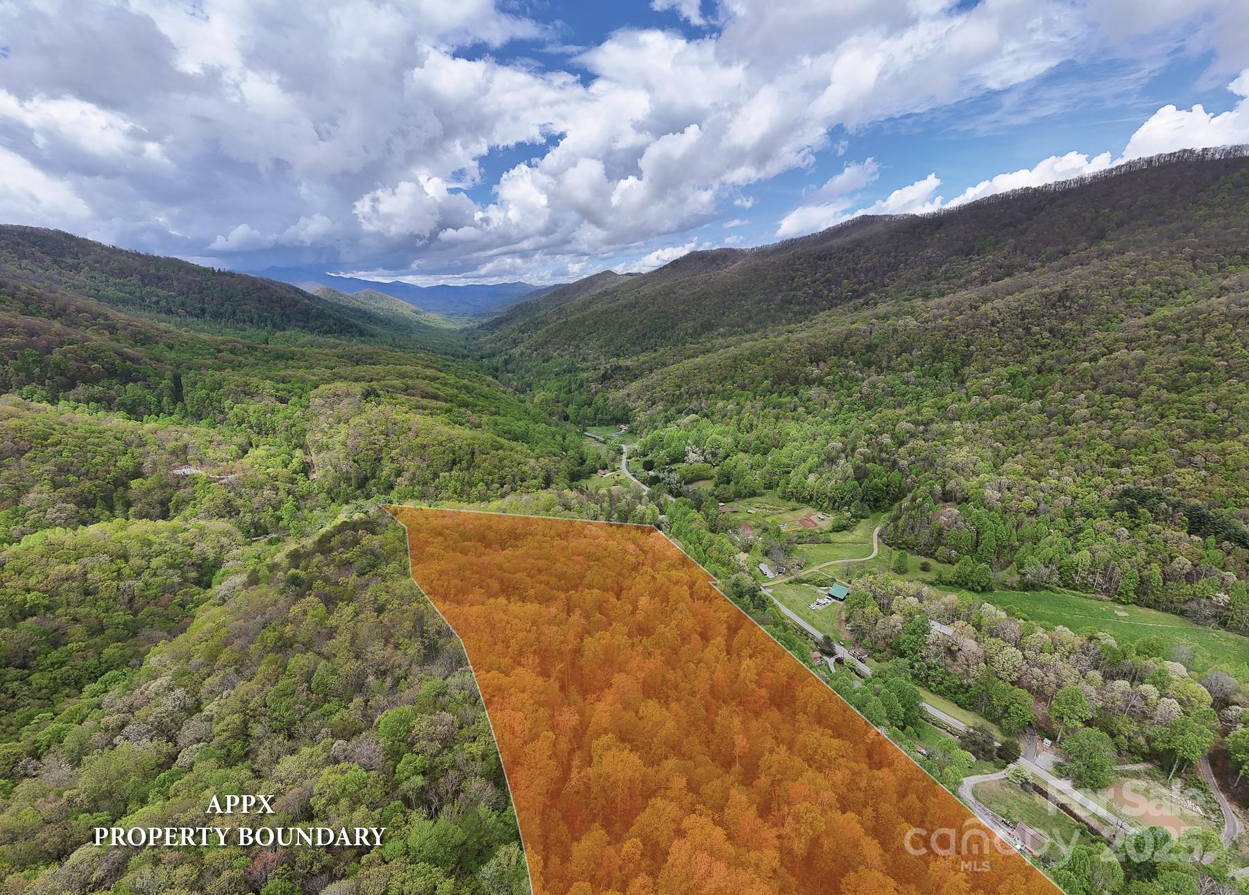 7042 Yellow Creek Road Robbinsville, NC 28771 - Photo 15 of 18 a view of a yard with an trees