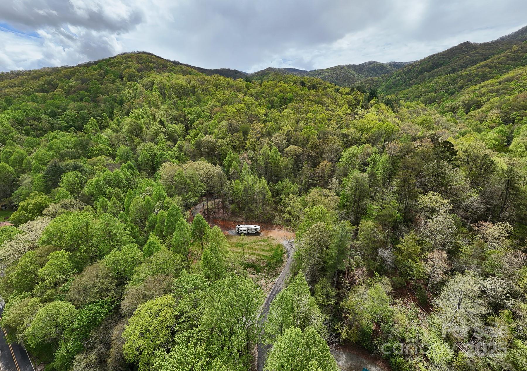 7042 Yellow Creek Road Robbinsville, NC 28771 - Photo 16 of 18 a view of a lush green forest with lots of trees