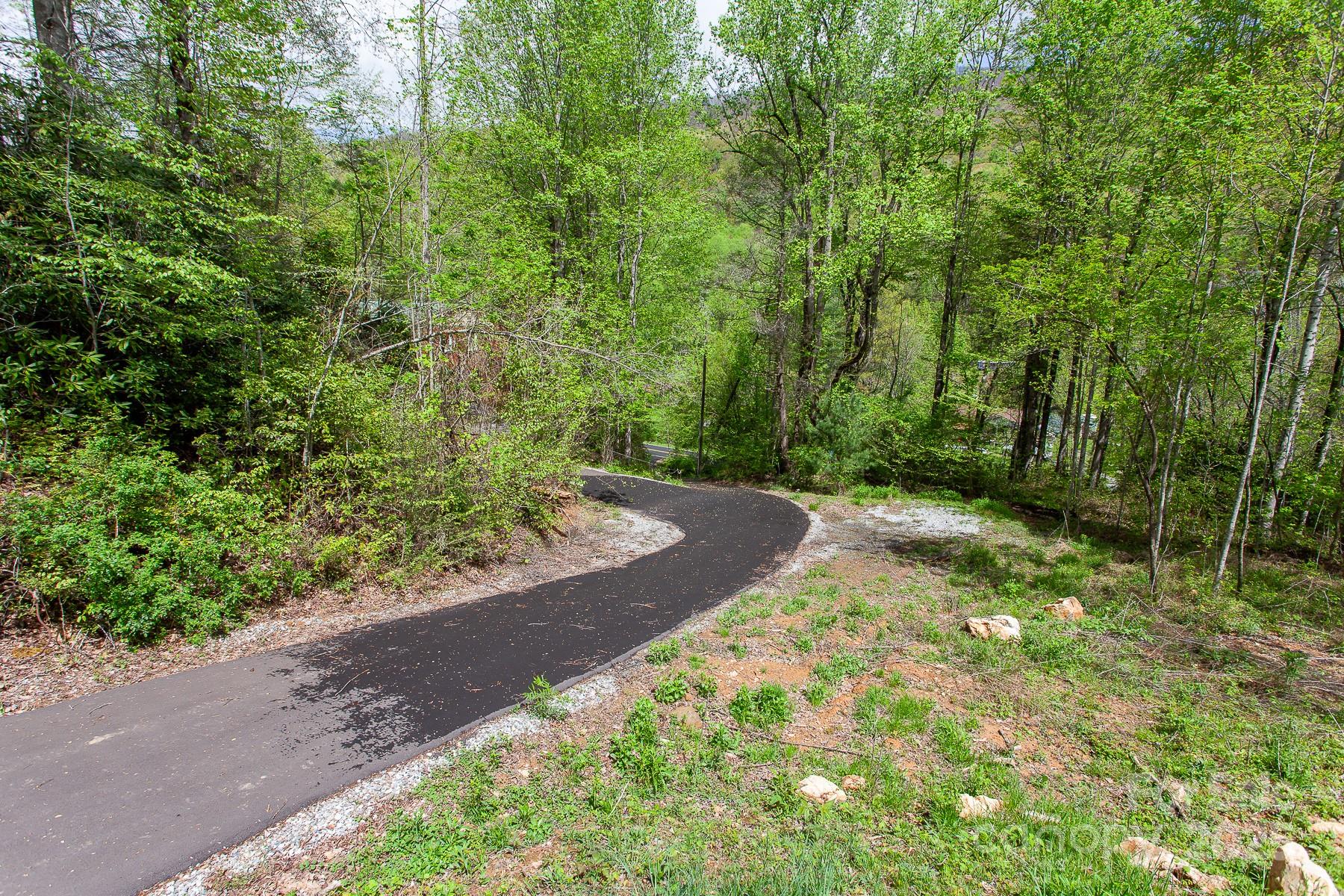 7042 Yellow Creek Road Robbinsville, NC 28771 - Photo 2 of 18 a view of a yard with plants and large trees