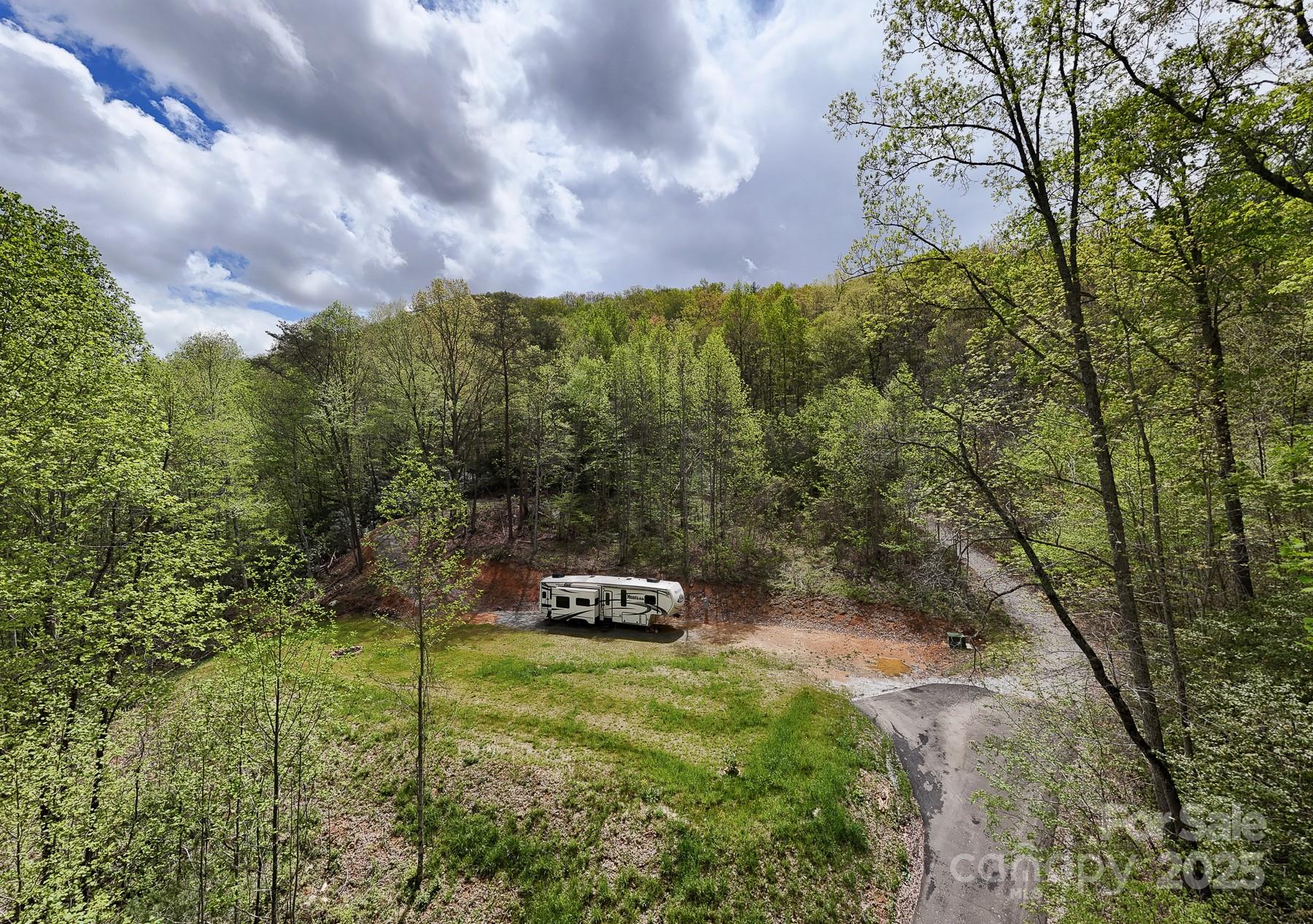 7042 Yellow Creek Road Robbinsville, NC 28771 - Photo 4 of 18 a picture of trees
