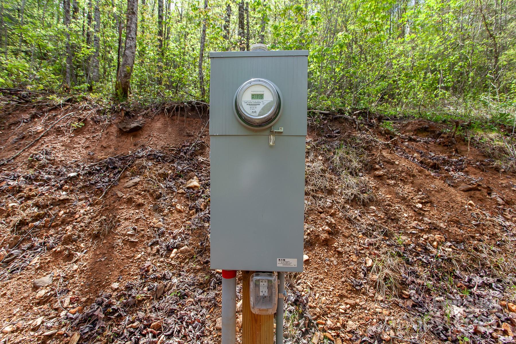 7042 Yellow Creek Road Robbinsville, NC 28771 - Photo 10 of 18 a picture of a tree in a park