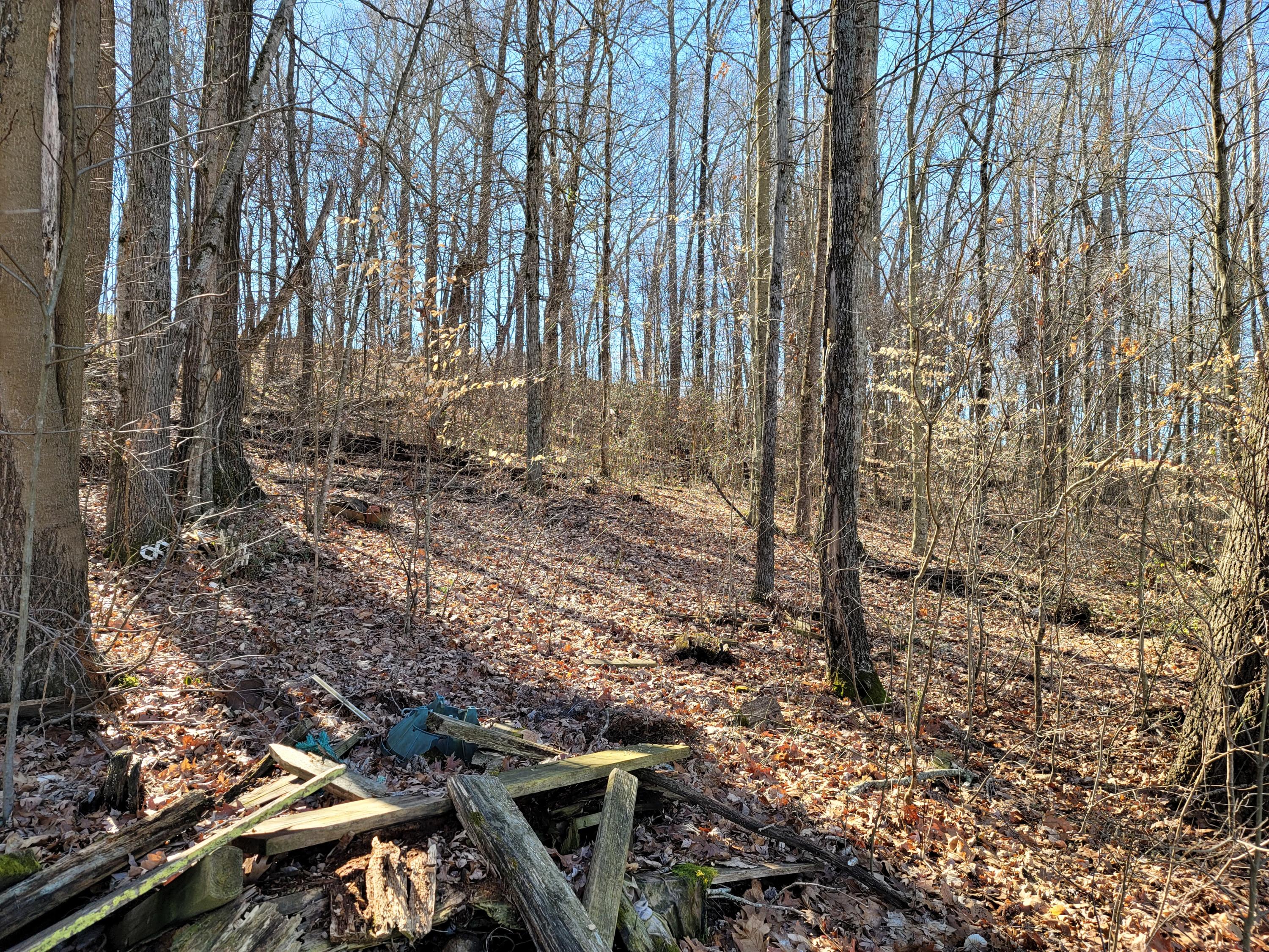 939 Sinking Springs Road Midway, TN 37809 - Photo 39 of 45 20210224_104008