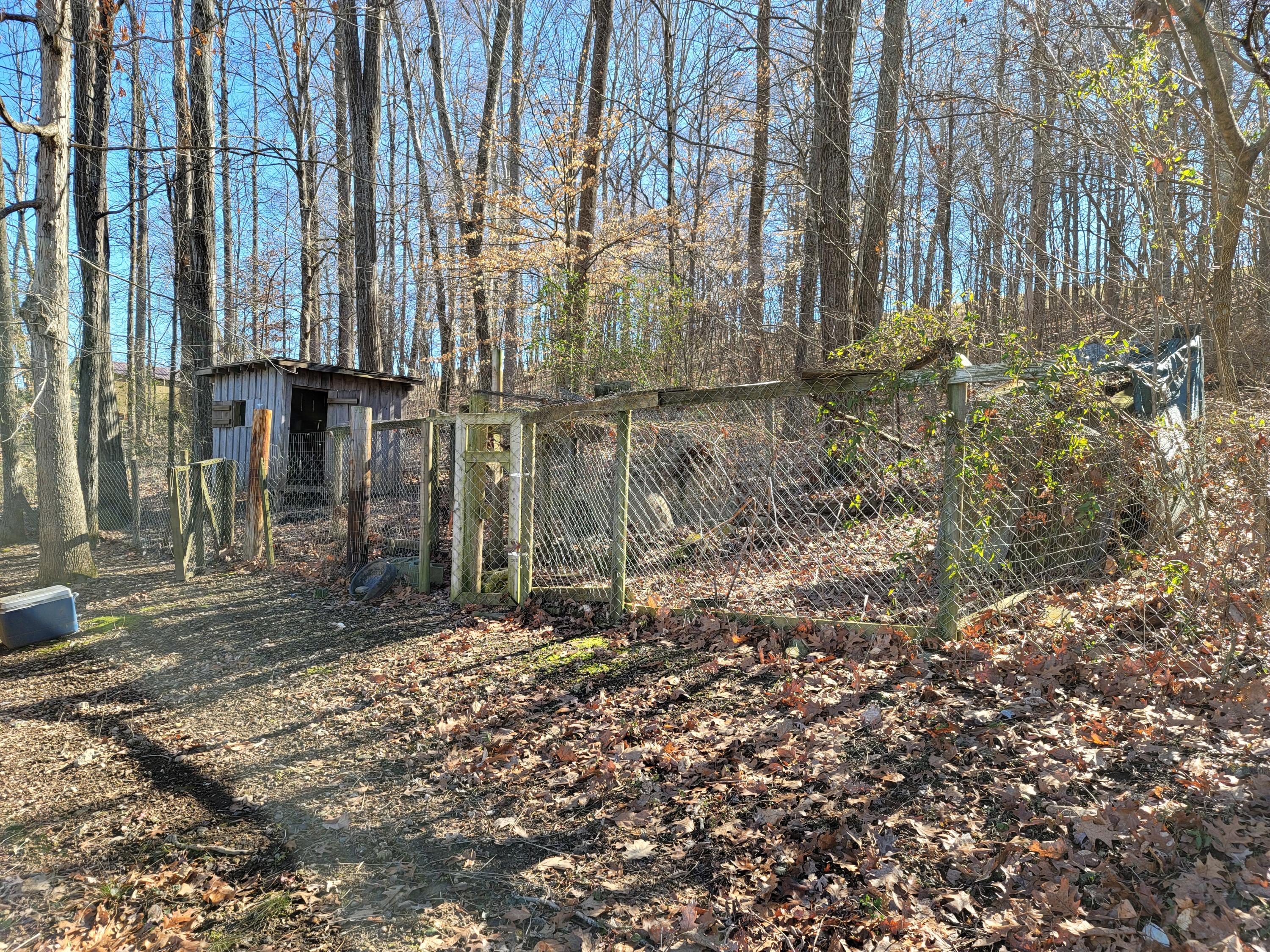 939 Sinking Springs Road Midway, TN 37809 - Photo 41 of 45 20210224_103949