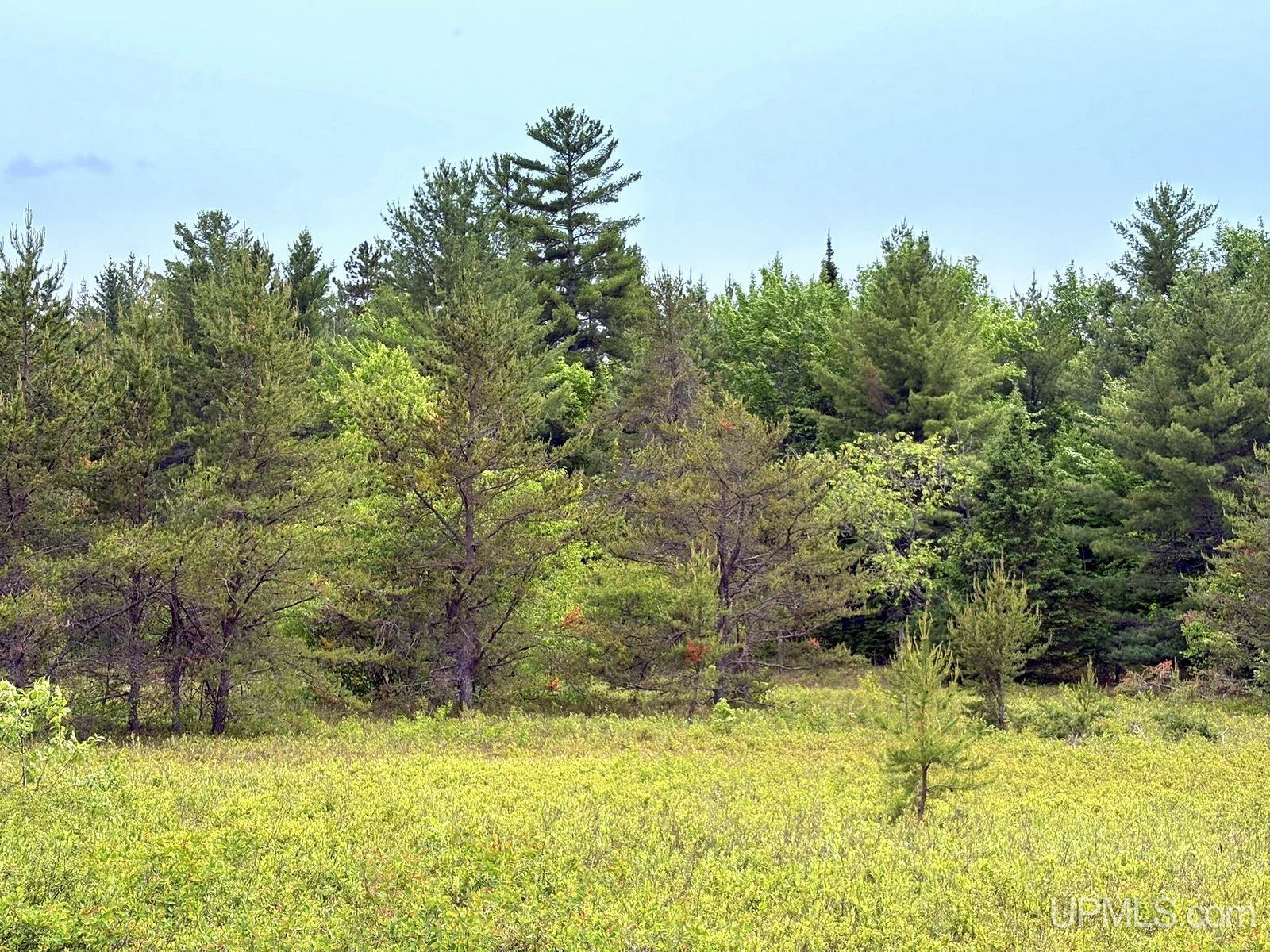 Tbd Tbd Co Road Gwinn, MI 49841 - Photo 44 of 58