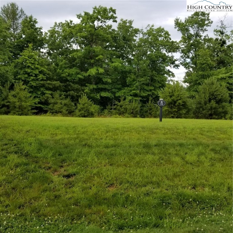 Lot 115 Nightshade Road Boone, NC 28607 - Photo 1 of 7 Gallery Image 1