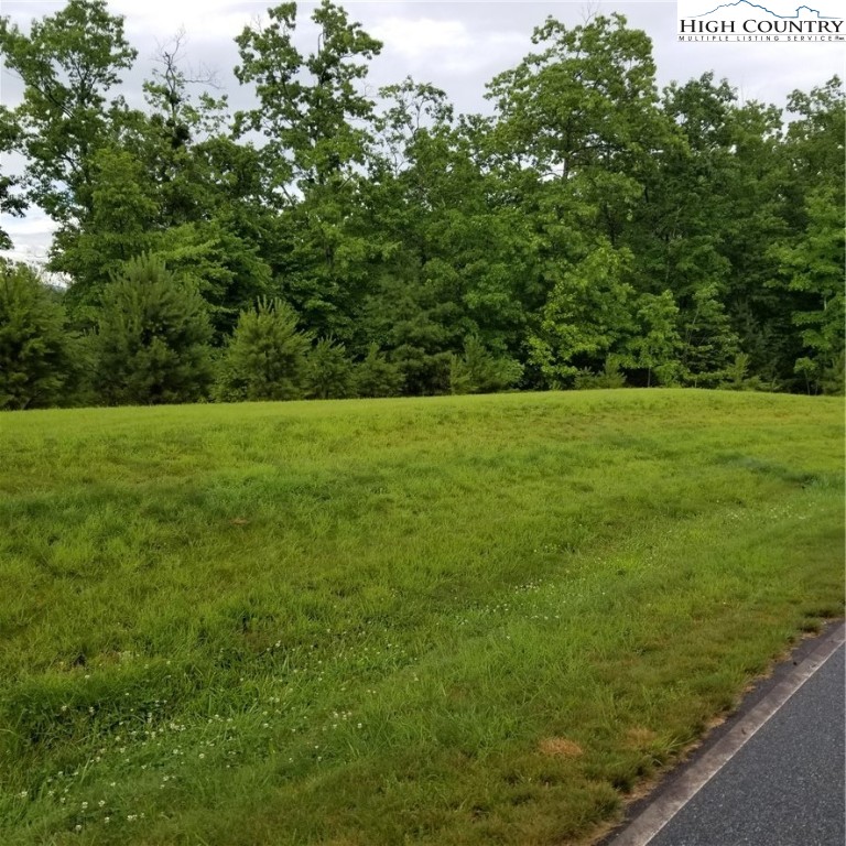 Lot 115 Nightshade Road Boone, NC 28607 - Photo 2 of 7 Gallery Image 2