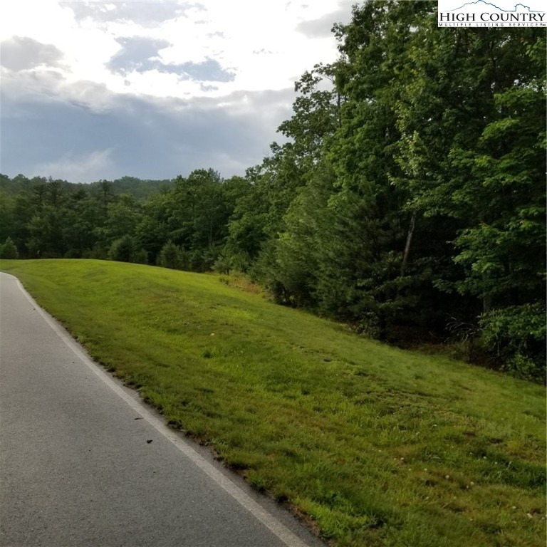 Lot 115 Nightshade Road Boone, NC 28607 - Photo 3 of 7 Gallery Image 3